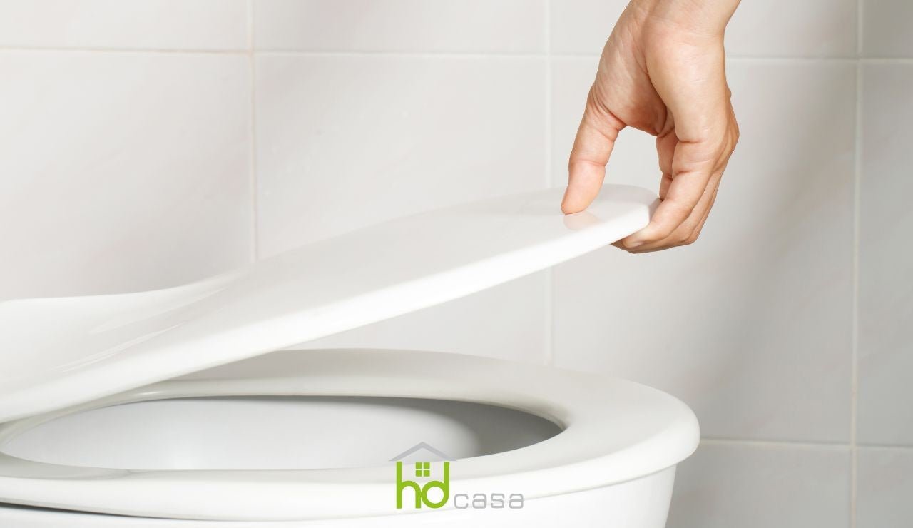 Come cambiare la tavoletta del wc in modo semplice e veloce - HD casa