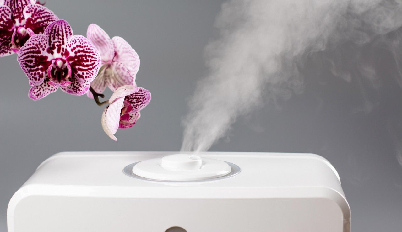 Prevenire la muffa in bagno: 10 consigli pratici ed efficaci - HD casa