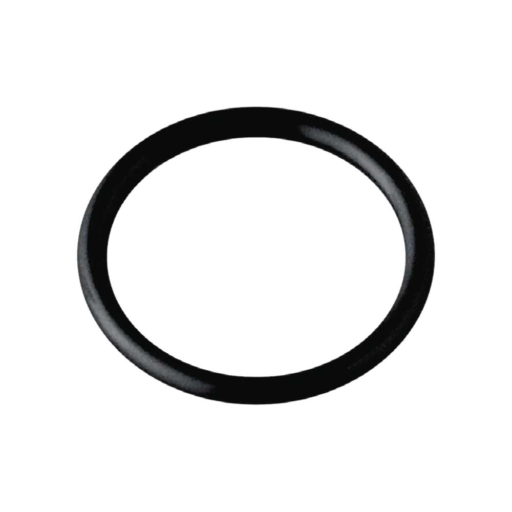 Guarnizione or per sifone a fiasco Ø107 mm