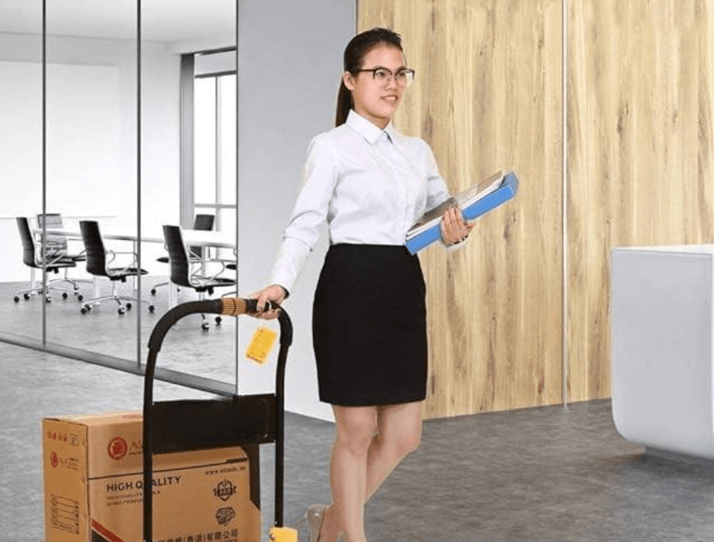 Carrello portatutto a piattaforma Cardinale portata 100 kg - HD casa