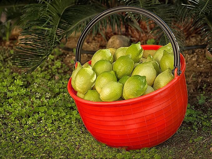 Cesto agricolo 16 lt - HD casa