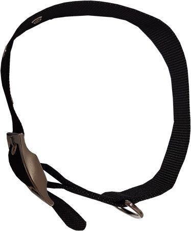 Collare per cani in nylon imbottito Cardinale 20 mm x 50 cm - HD casa
