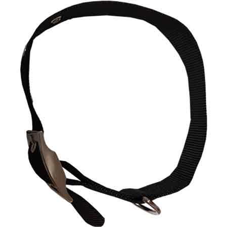 Collare per cani in nylon imbottito Cardinale 20 mm x 50 cm - HD casa