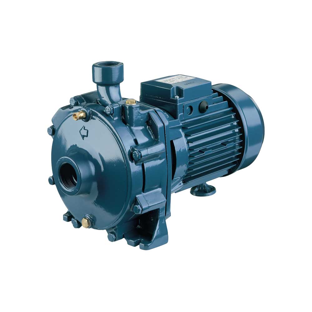 Elettropompa centrifuga bigirante in ghisa CDA/E 2.00 m — Ebara - HD casa