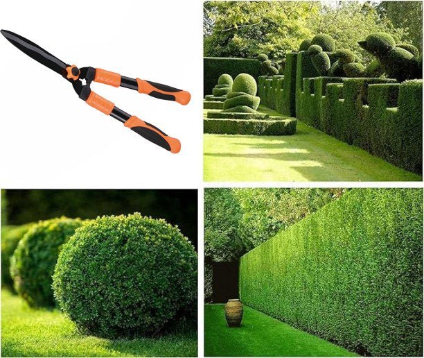 Forbice per siepe in acciaio Cardinale 25 cm - HD casa