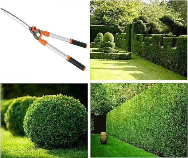 Forbice per siepe in alluminio Cardinale 30 cm - HD casa