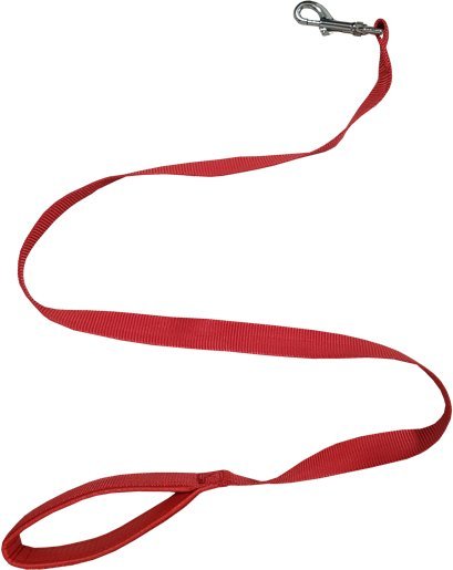 Guinzaglio per cani in nylon con manico imbottito Cardinale 25 mm x 120 cm - HD casa