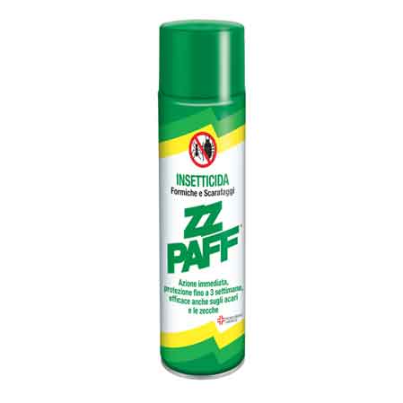 Insetticida spray scarafaggi e formiche 300 ml - HD casa