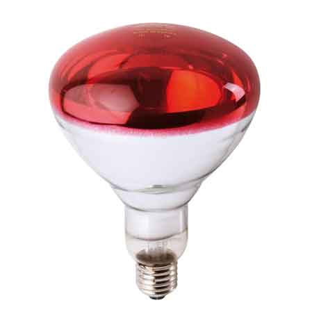 Lampada infrarossi per riflettore Philips 150 watt - colore rosso - HD casa