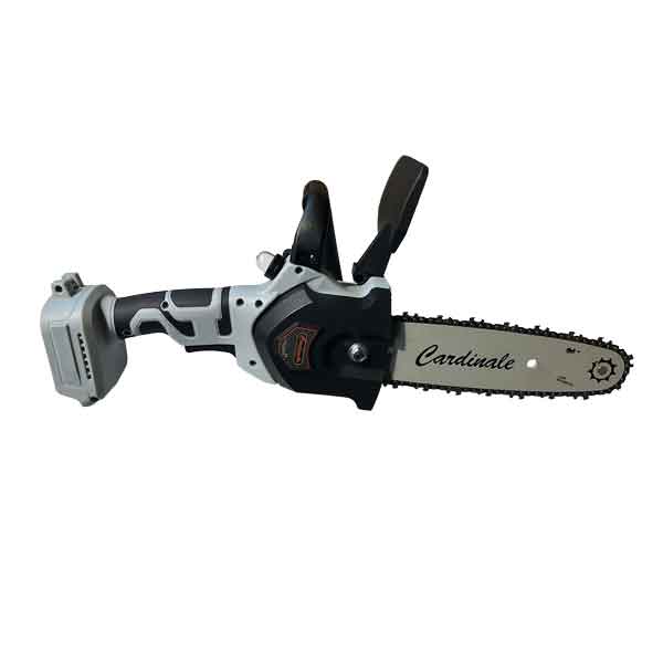 Motosega da pota a batteria dexter garden line Cardinale barra 20 cm - HD casa