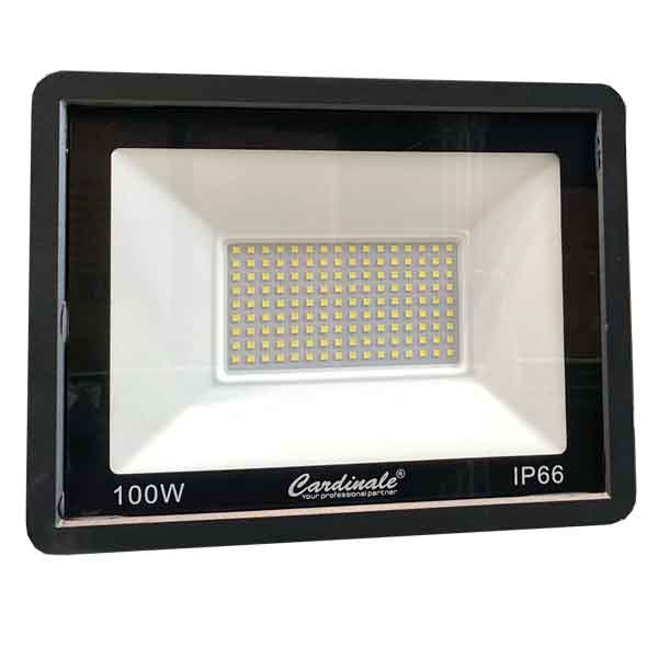 Proiettore a LED 10W - 800Lm - 6000K — Cardinale - HD casa