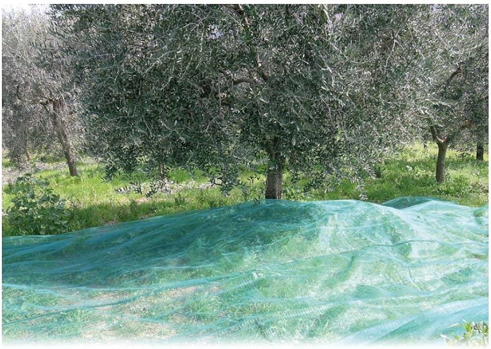 Rete per raccolta olive Cardinale rotolo h. 4 (piegato 1 mt) x 250 mt - HD casa