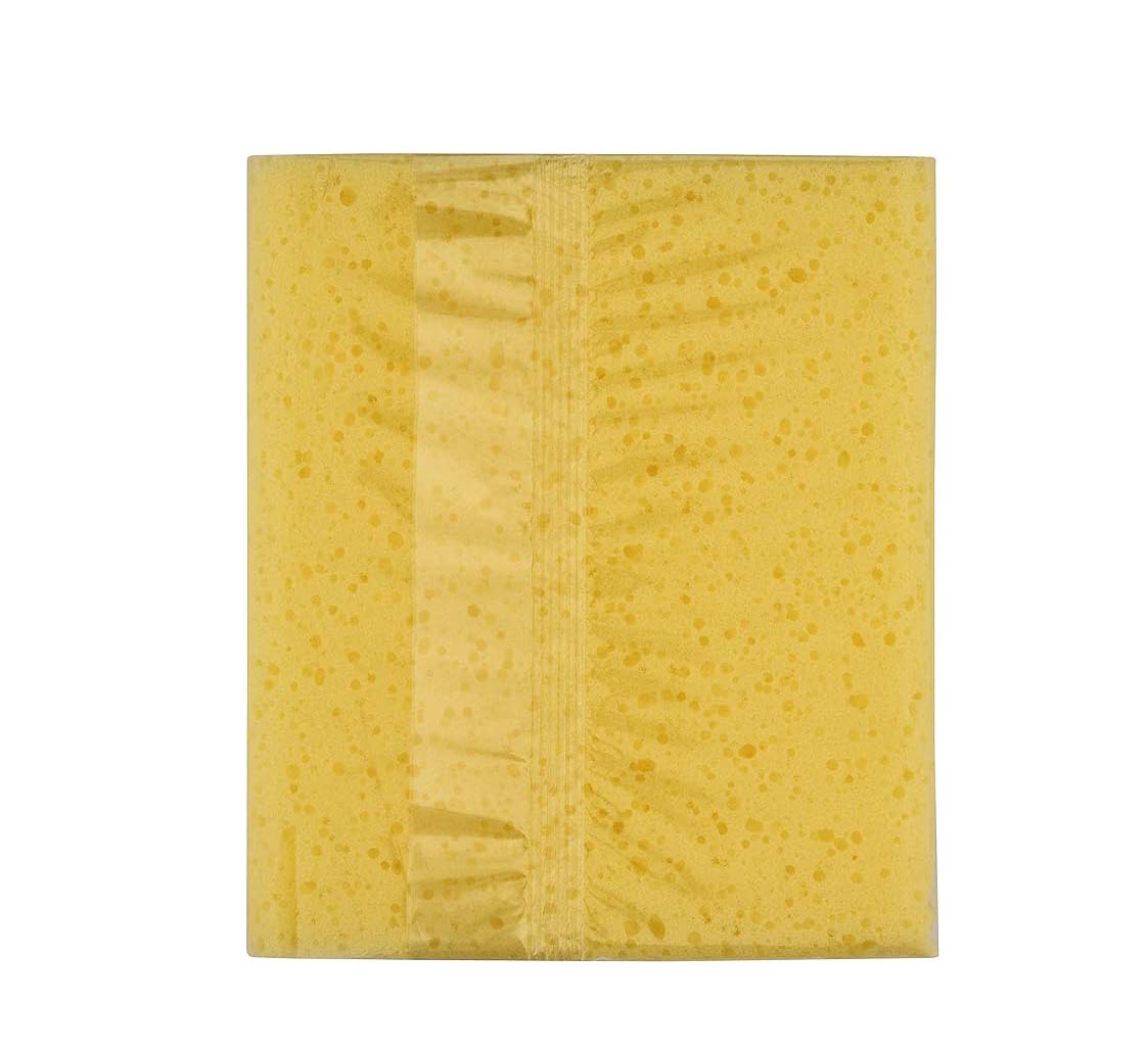 Spugna lavaggio wizzy maxi Arexons 10x15x17 cm - HD casa