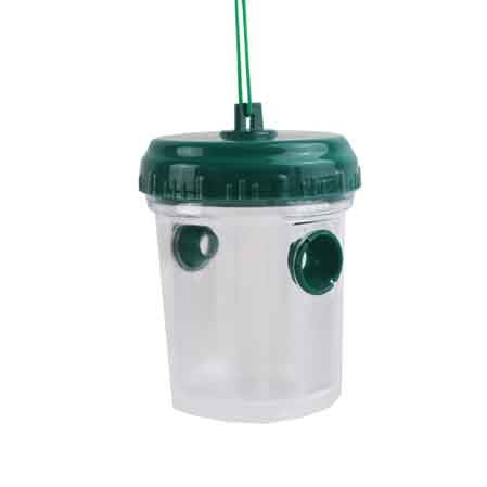 Trappola per vespe e calabroni Cardinale Ø 5x19h cm - HD casa