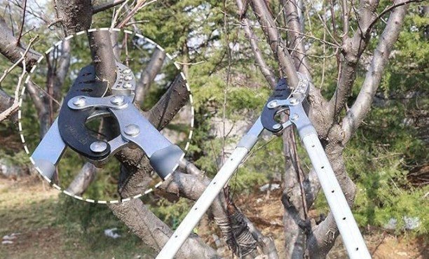 Troncarami a forbice Cardinale telescopico 66-87 cm - HD casa