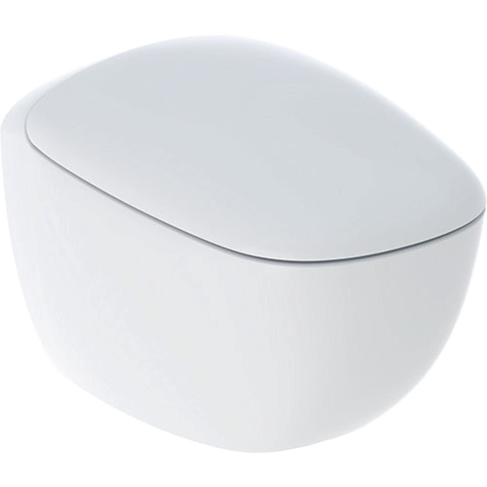 Vaso sospeso rimfree Citterio con sedile chiusura rallentata — Geberit - HD casa